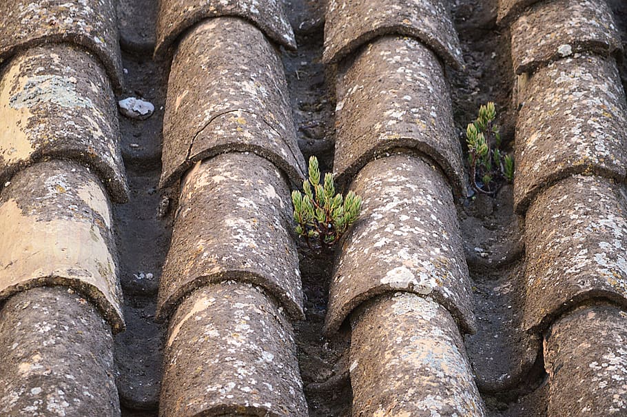 texas, clay tiles, rustic, roof, old, mud, spain, full frame HD wallpaper