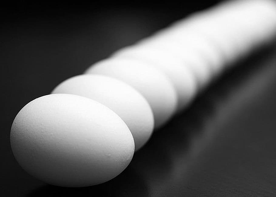 white egg lot, macro, egg shell, black background, close-up HD wallpaper
