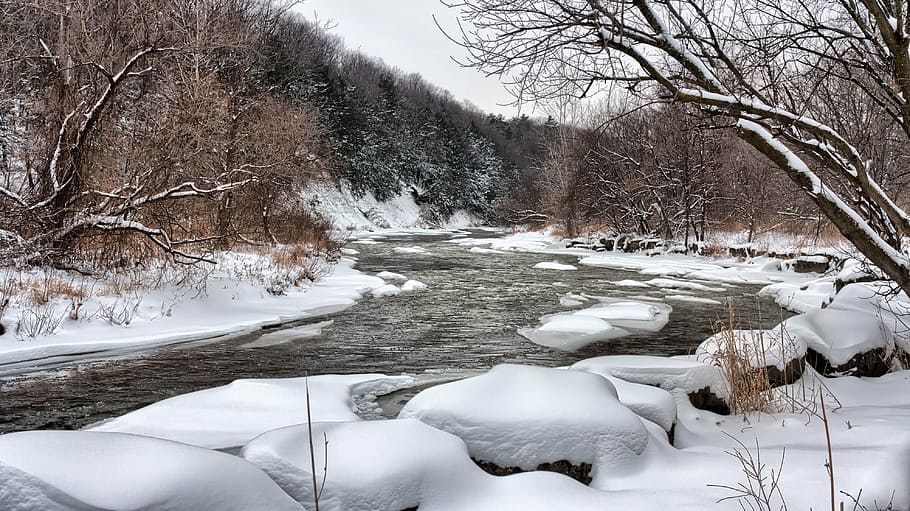 cold, river, snow, water, winter, woods, cold temperature, tree HD wallpaper
