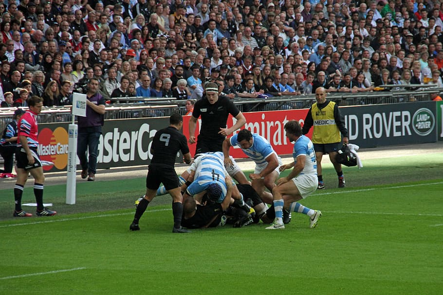 rugby, players, world, cup, stadium, sport, wembley, championship