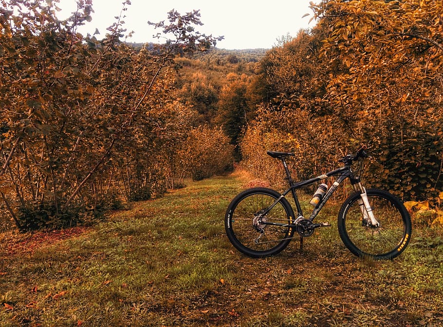 black hardtail bike parked upright near brown trees during daytime, HD wallpaper