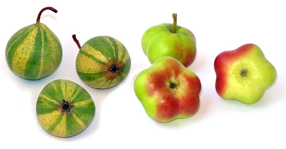 apple, api etoilée, pear, sternapi, schweizerhose, fruit, wellbeing HD wallpaper
