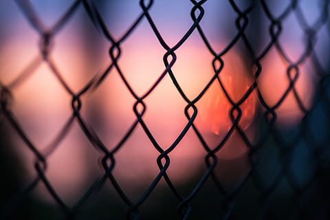 Closeup shot of a metal mesh fence at sunset, various, outdoors HD wallpaper