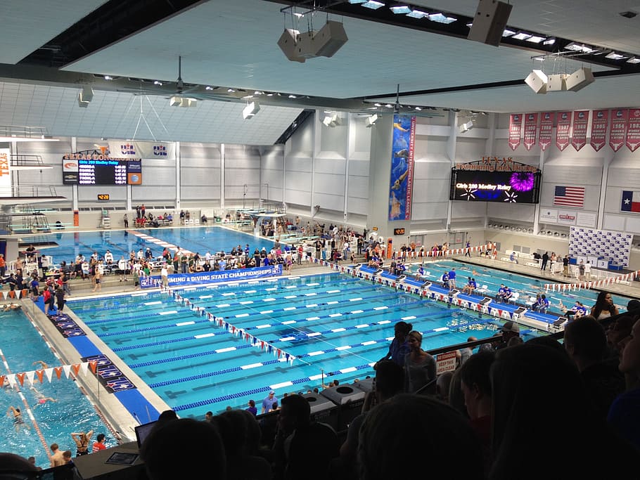 natatorium, swim, pool, group of people, large group of people HD wallpaper
