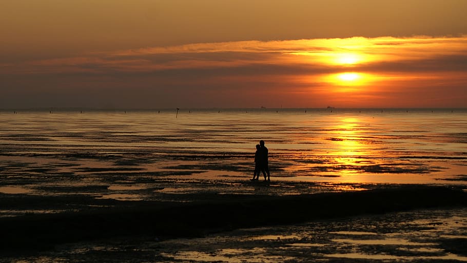 silhouette of person, pair, beach, love, watts, wadden sea HD wallpaper