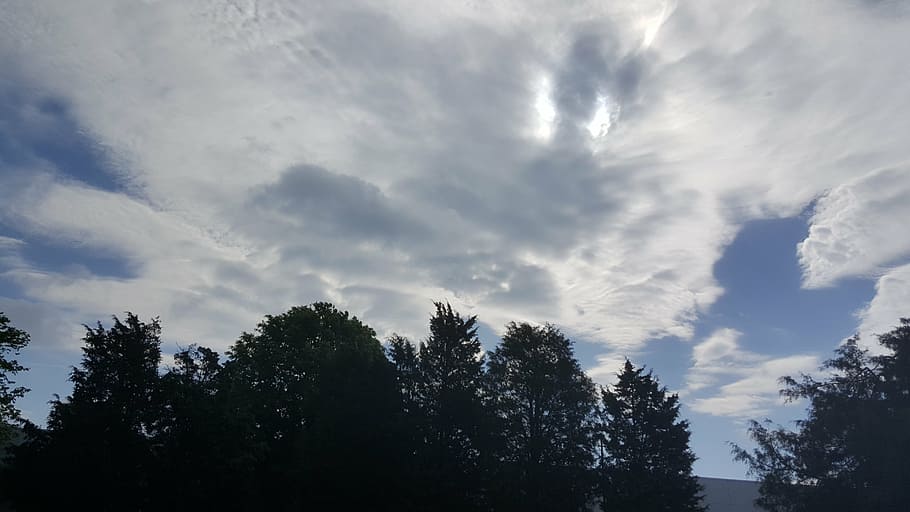 cloud, sky, trees, plant, cloud - sky, beauty in nature, growth HD wallpaper