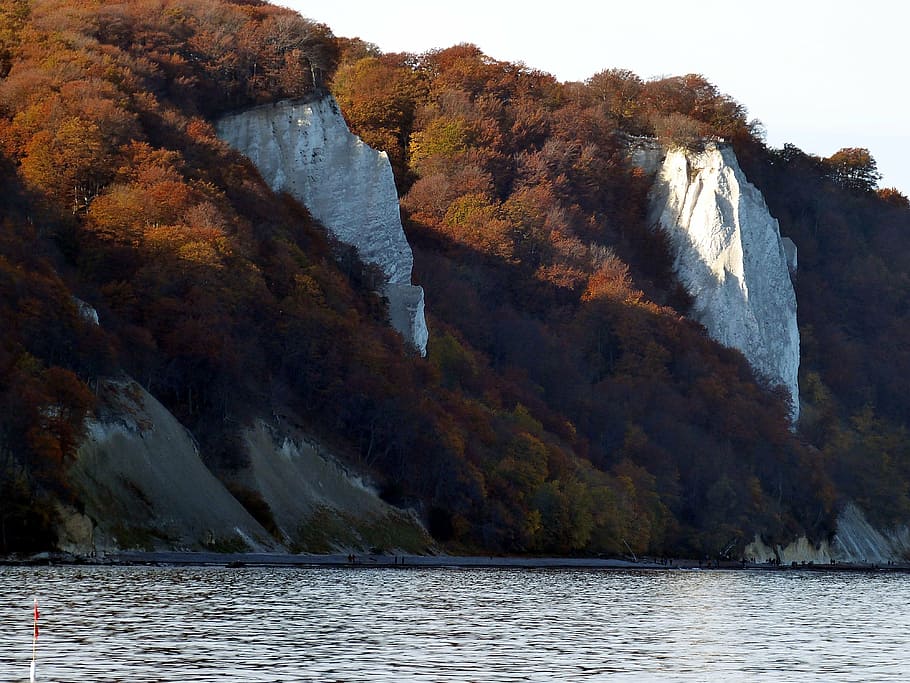 rügen, white cliffs, baltic sea, rügen island, water, nature HD wallpaper