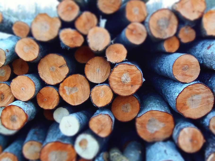 brown and gray firewoods, trees, trunks, pile, nature, outdoor HD wallpaper