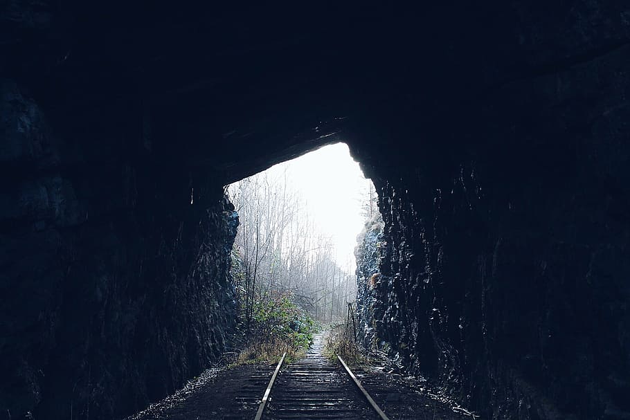 railway inside a cave during daytime, tunnel, dark, woods, forest