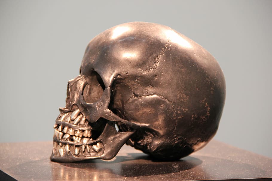 human skull decor on table, bronze, head, statue, horror, metal HD wallpaper