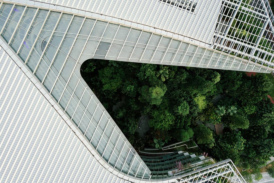 aerial photography of building near treesz, aerial view of white building HD wallpaper