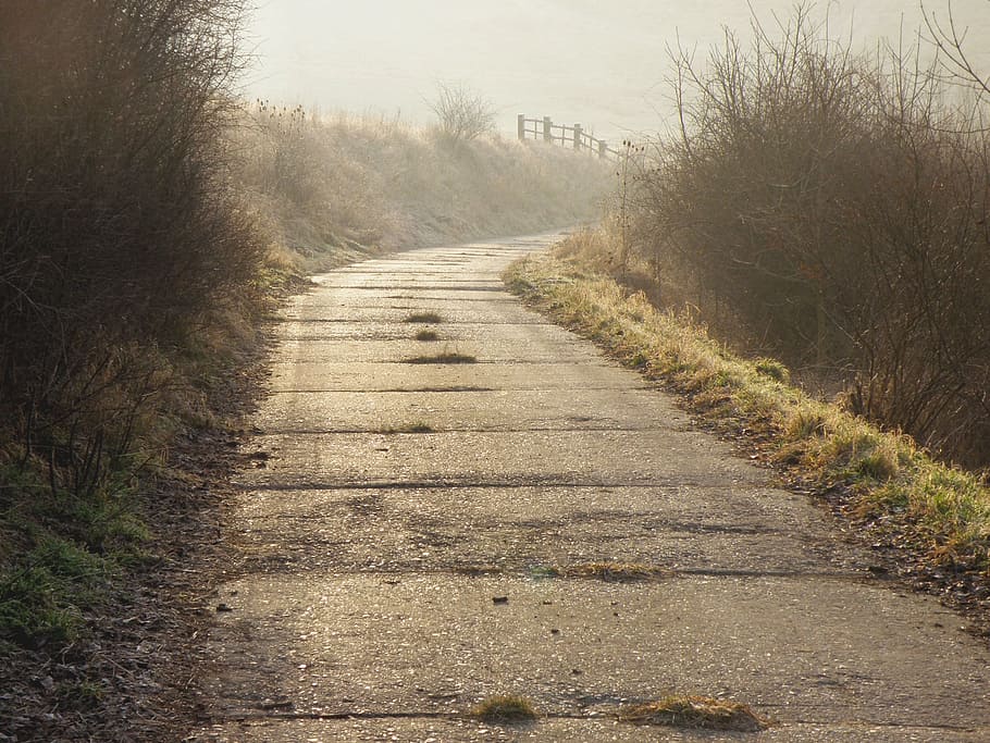 path, winter, icing, landscape, walk, nature, light, autumn HD wallpaper