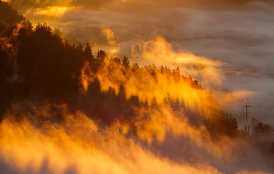 nature, landscape, clouds, sky, fog, sunny, sunset, trees, cloud - sky HD wallpaper