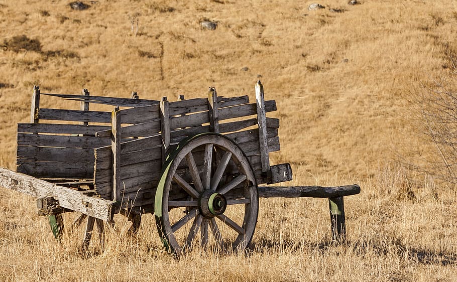 farm, wagon, field, wheel, land, cart, nature, transportation HD wallpaper