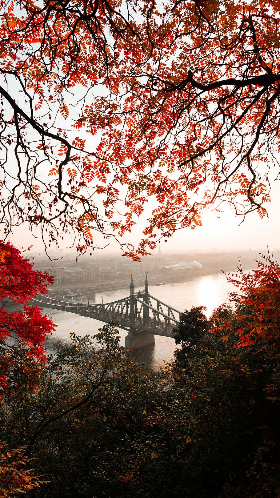 landscape photography of gray concrete bridge, gray concrete bridge near city HD wallpaper