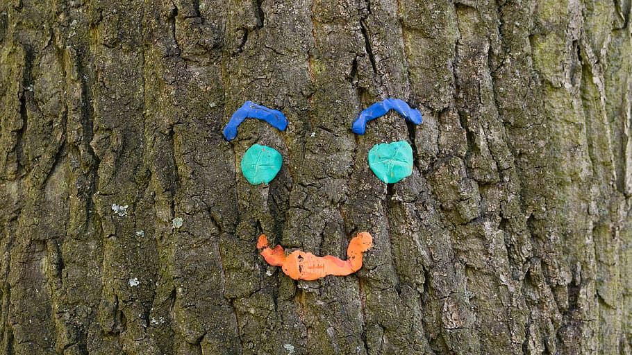 tree, face, park, happy, cheerful, art, tree spirit, eyes, nose HD wallpaper