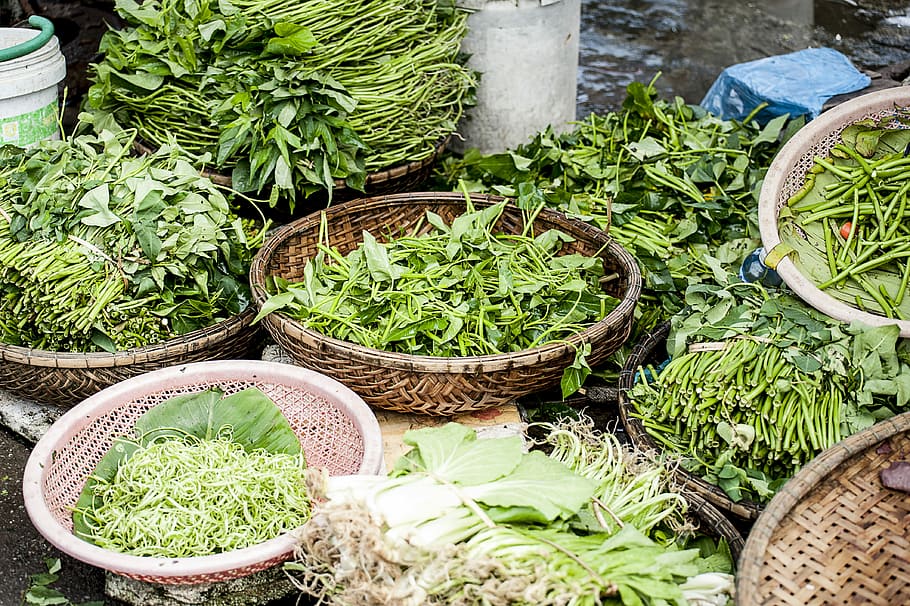 green vegetables on brown wicker basket, green leafy vegetables in baskets HD wallpaper