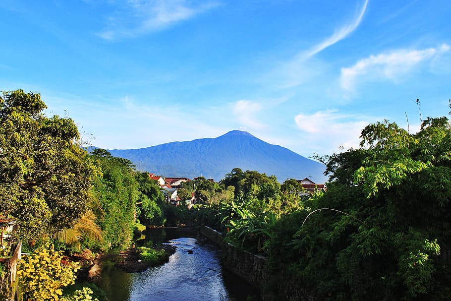 mount, river, view, the tree, the sky, blue, green, plant, scenics - nature HD wallpaper