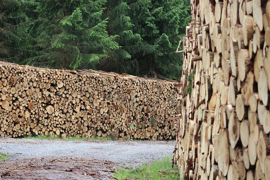 wood, holzschlag, timber industry, stacked, tree wood, firewood, HD wallpaper