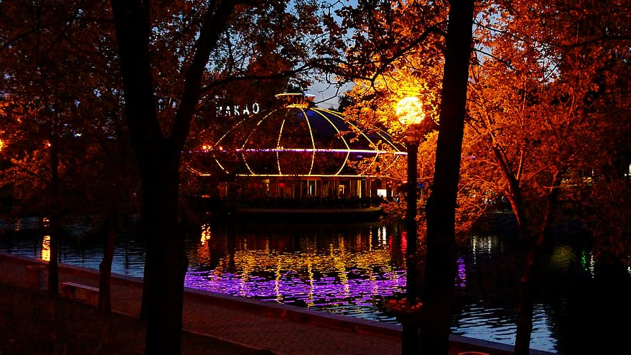 evening, lantern, pond, tree, plant, water, autumn, nature HD wallpaper