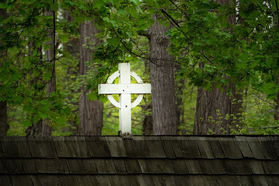 cross, rooftop, church, tree, plant, wood - material, forest HD wallpaper