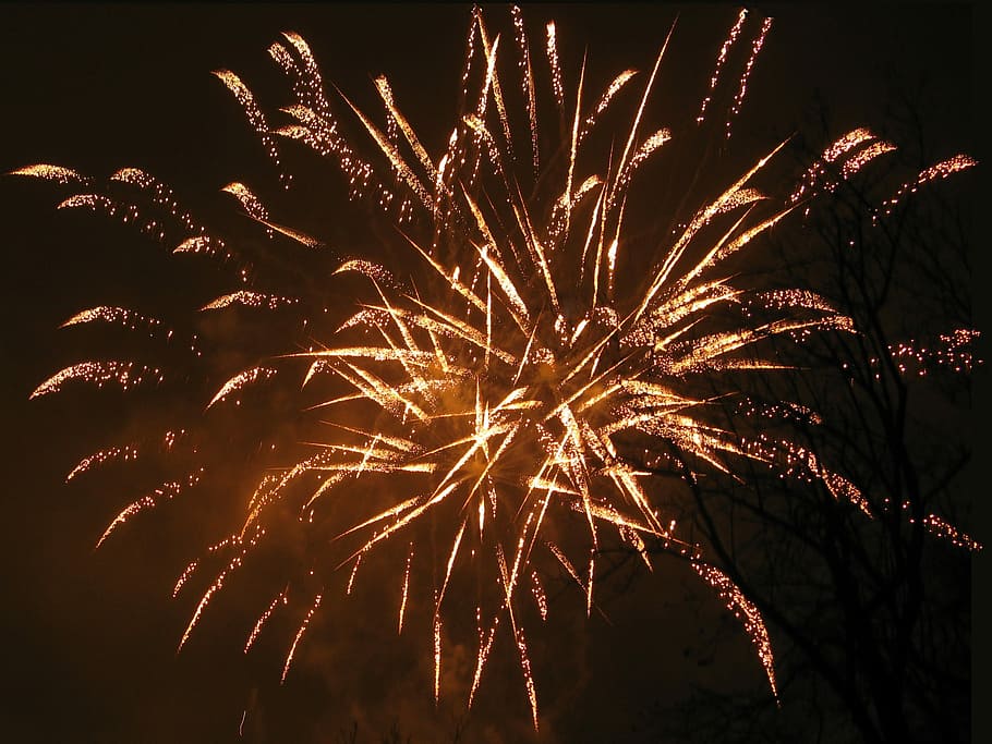 Fireworks, New Year, firework display, firework - man made object HD wallpaper