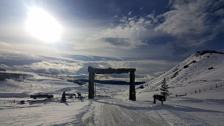 snow, christmas, ranch, cold, deer, winter, sky, cold temperature HD wallpaper