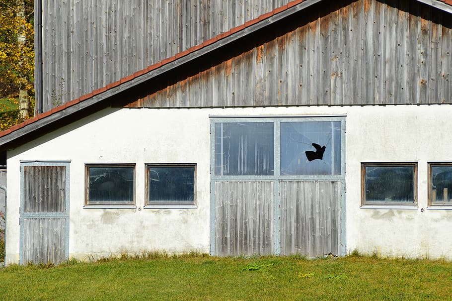 Barn, Farm, Run Down, Dilapidated, leave, lapsed, building exterior HD wallpaper