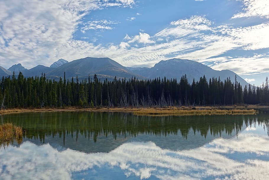 Lake, Reflection, Wilderness, Scenery, serene, tranquil, environment HD wallpaper