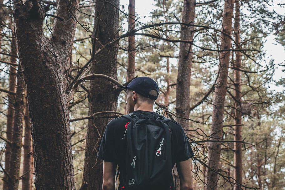 man carrying black backpack on froest, man wearing backpack in forest HD wallpaper