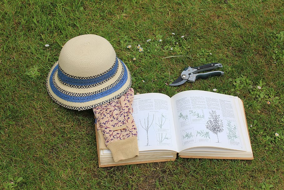 gardening, book, sun hat, garden gloves, read, header, backdrop, HD wallpaper
