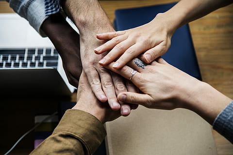 group of people filing their hands, team, work, together, helping hand HD wallpaper
