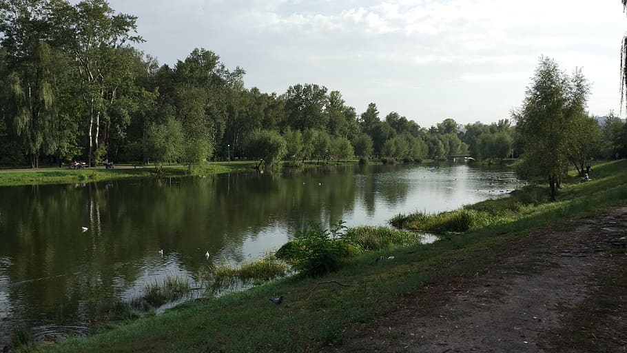 park, lake, forest, trees, nature, landscape, water, river HD wallpaper