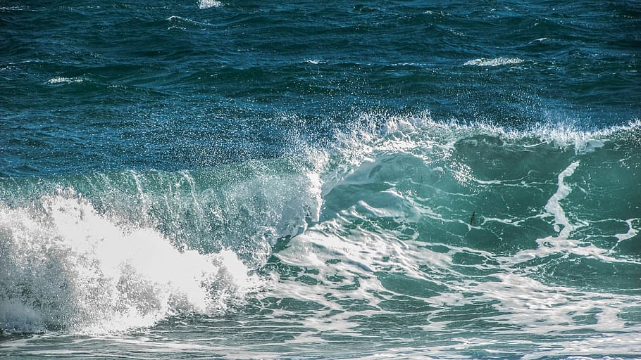 waves, wind, sea, water, foam, spray, wild, motion, waterfront HD wallpaper