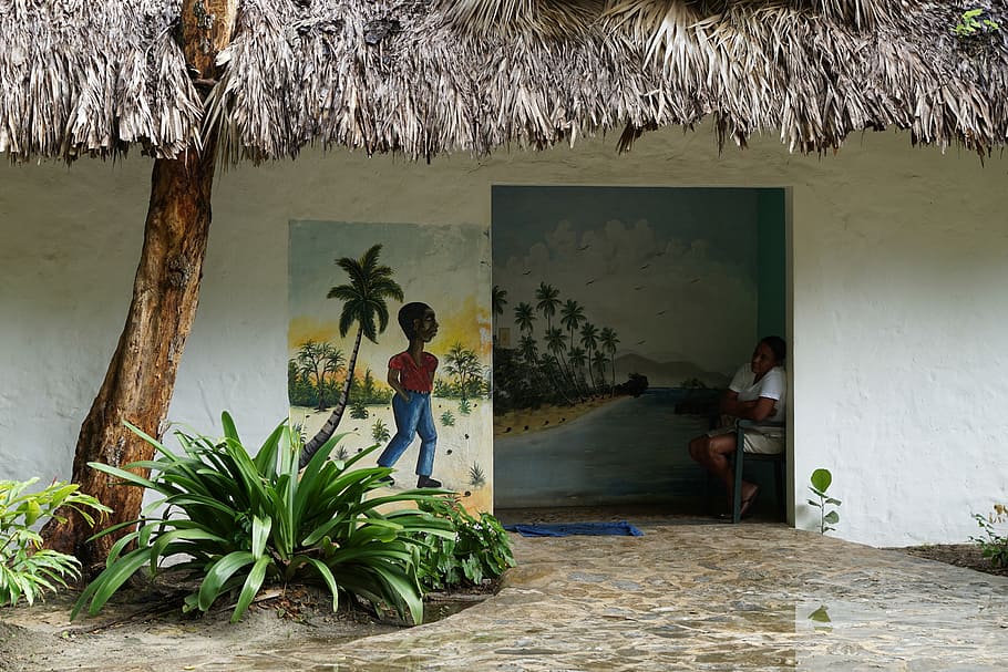 Home, Caribbean, Building, tree, thatched roof, palm tree, full length HD wallpaper