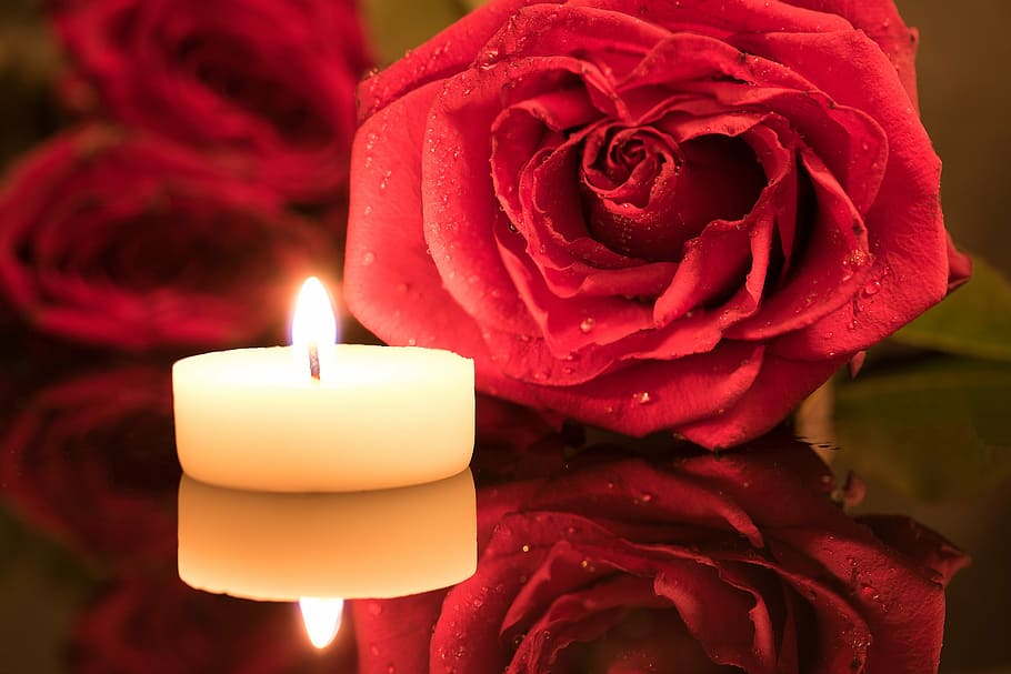 white tealight candle besides red rose, candlelight, drop of water