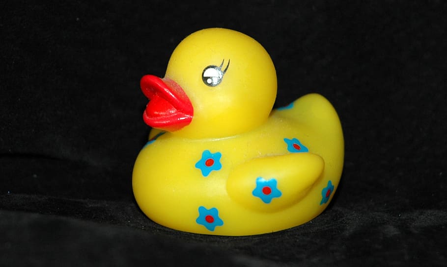 rubber duck squeak