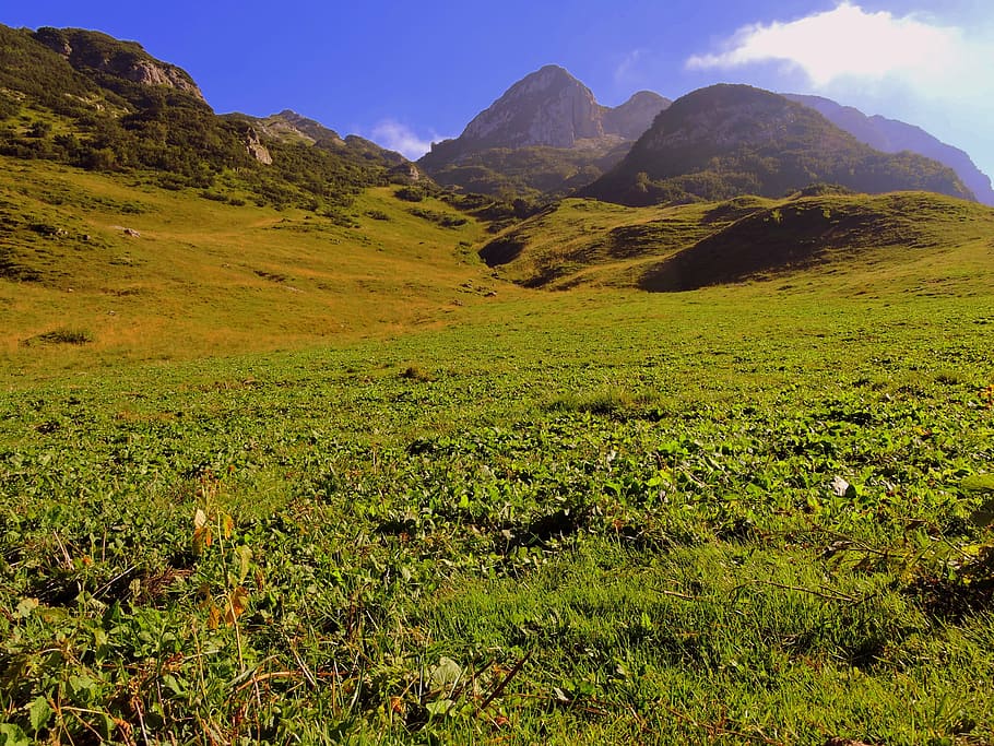 prato, mountain, green, grass, landscape, sky, beauty in nature HD wallpaper