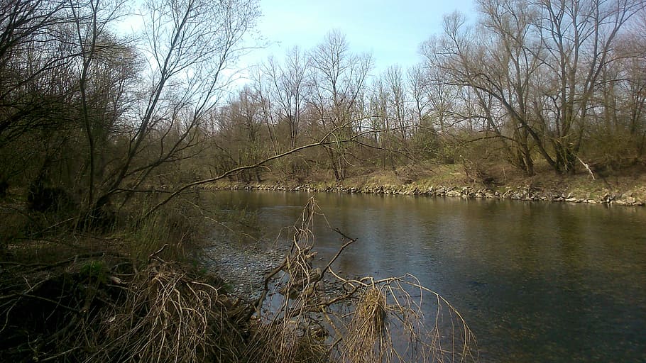 river, nature, wilderness, forest, tree, water, lake, outdoors HD wallpaper