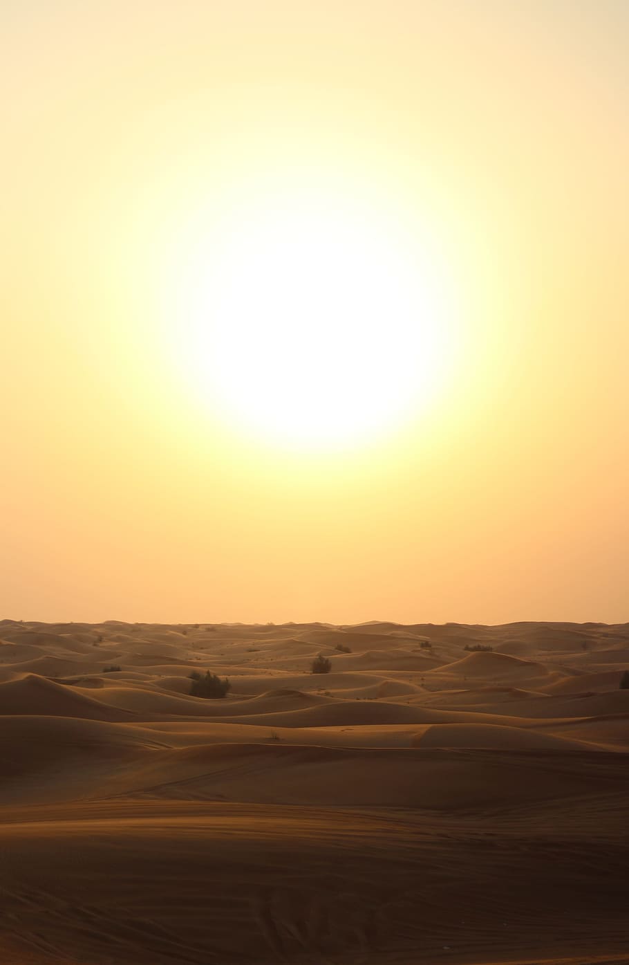 beige sand during sunset, golden time photo of desert, colors HD wallpaper