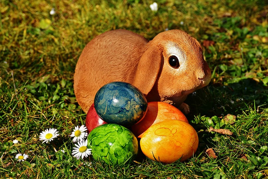 brown rabbit and eastern eggs, easter bunny, easter eggs, meadow HD wallpaper