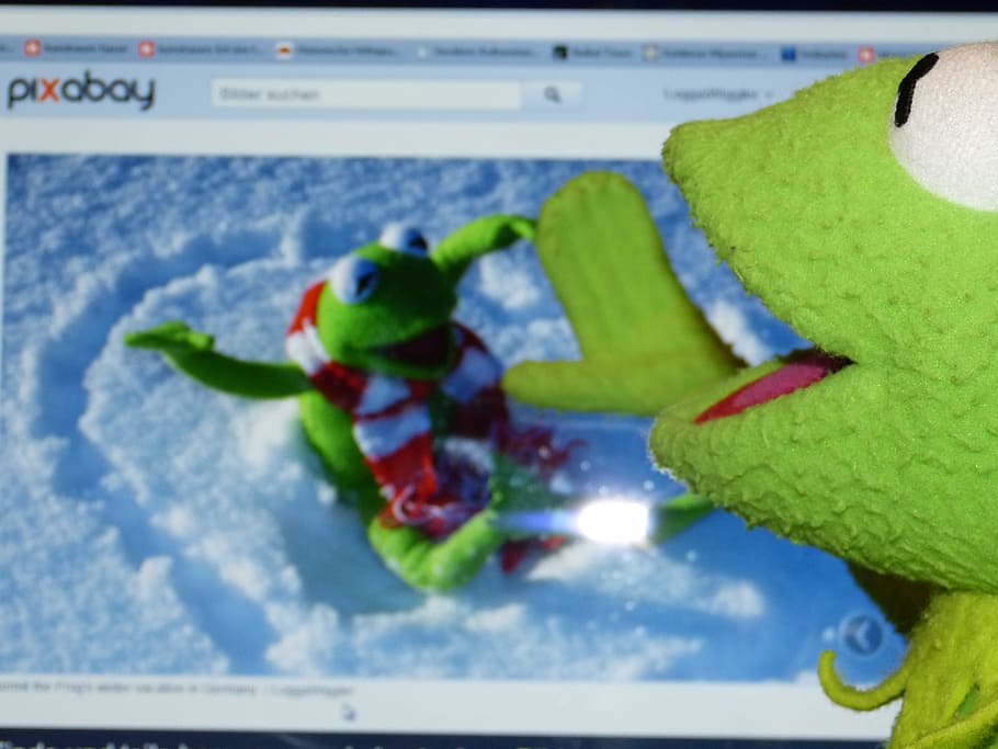 Kermit the frog watching, computer, pixabay, see, preview image
