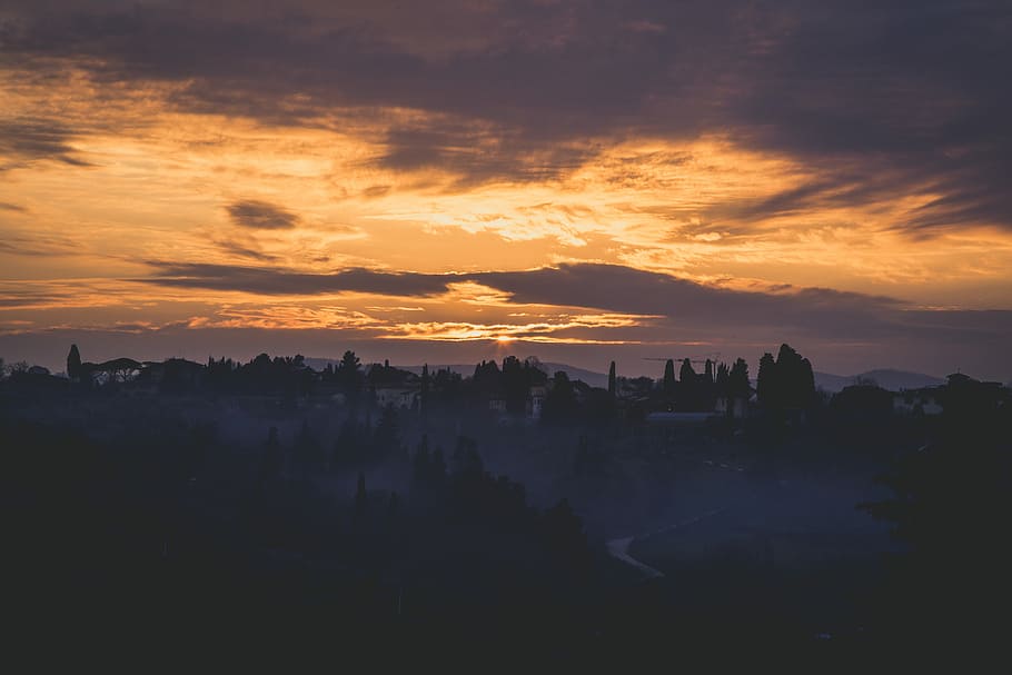 aerial view photography of trees with fogs, silhouette of city during golden hour HD wallpaper