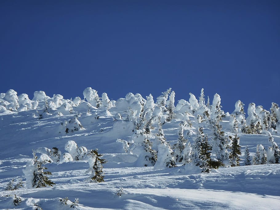Snow, Peak, Peak, Mountain, Travel, Winter, snow mountain, summit HD wallpaper