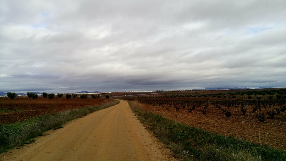 path, field, landscape, nature, walking, plain, agriculture HD wallpaper