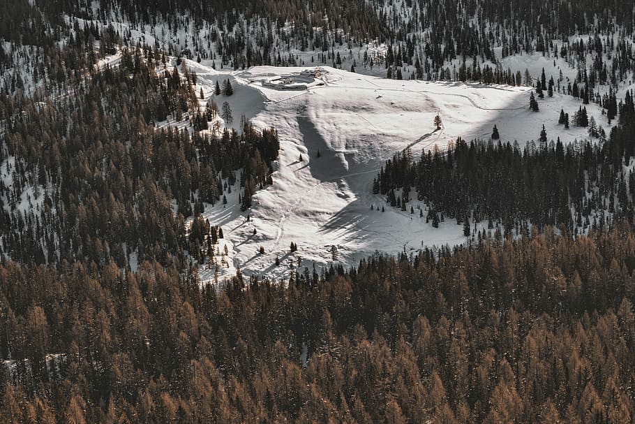 aerial photography of mountain covered by snow near trees, aerial photography of trees HD wallpaper