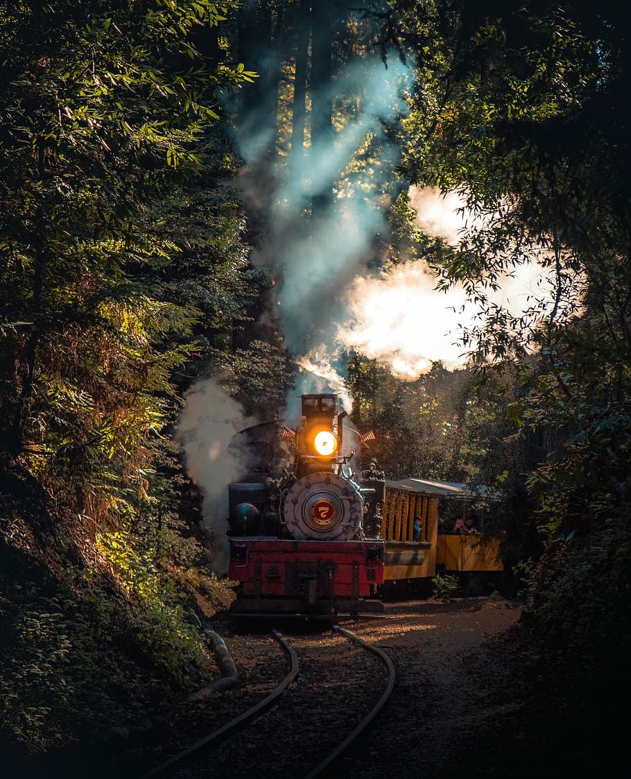 gray and red train running on rail in between trees at daytime, brown and black train HD wallpaper