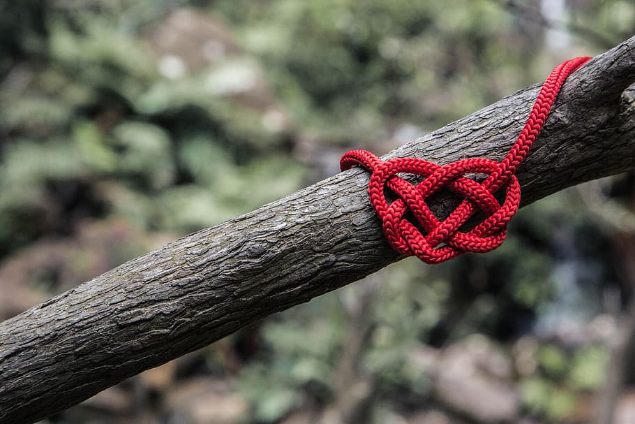 red rope on three branch, red rope tie on tree branch, red heart, HD wallpaper