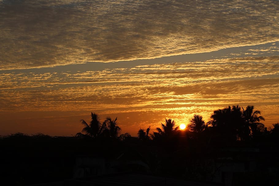 sunset, dusk, dawn, panoramic, evening, sky, tree, silhouette HD wallpaper