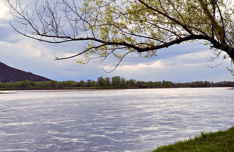 River, Landscape, Storm, Clouds, Sky, grass, tree, leaves, twigs HD wallpaper